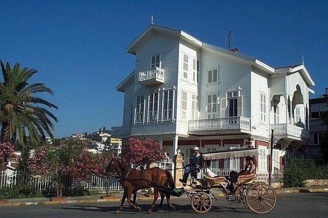 Princes' Islands Tour from Istanbul - Who Should Consider This Tour?