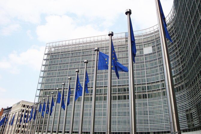 Private 2-Hour Sightseeing Tour in Brussels - Who Should Consider This Tour?