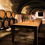 Private Alentejo Wine Tour & Évora Heritage from Lisbon - An In-Depth Look at the Tour Experience