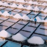 Private and Guided Tour to the Salinas de Janubio with Tasting - Final Thoughts