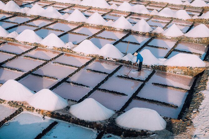 Private and Guided Tour to the Salinas de Janubio with Tasting - Final Thoughts