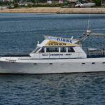 Private Boat Tour with activities in Pula Croatia - What to Expect on the Day