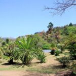Private Botanical Garden Tour - The Itinerary Breakdown