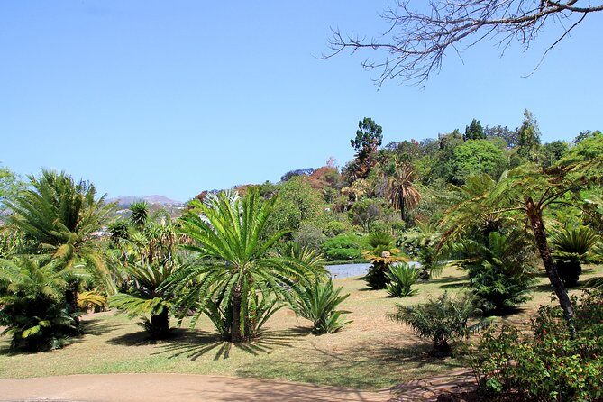Private Botanical Garden Tour - The Itinerary Breakdown