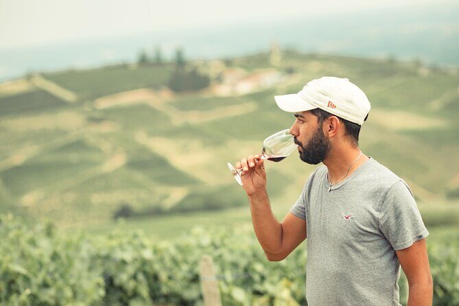 Private Burgundy Half Day Wine Tour by Vintage Land Rover - The Practicalities: What to Know Before Booking