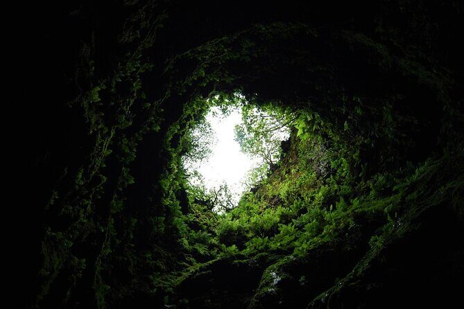 Private Caves Tour with a Geologist - In-Depth Review of the Caves Tour Experience
