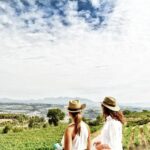Private Champagne Day Trip to Vineyards of Reims with French Lunch from Paris - Who Will Love This Tour?