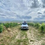 Private Champagne Experience in a vintage car from Epernay - The Vintage Car Experience