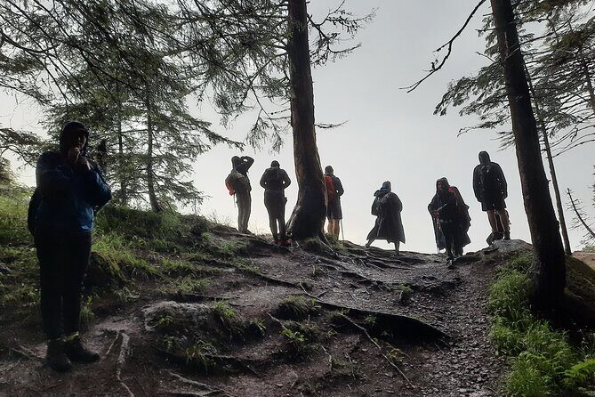 Private day hike from Brasov to Malaiesti Cottage - Who Is This Tour Best For?