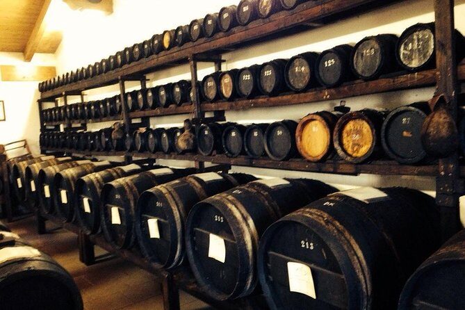 Private Day Tour & Lunch: Parmesan, Wine, and Vinegar Tasting - Practical Details & Tips
