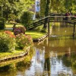 Private Day Trip from Amsterdam to Giethoorn including boat tour - Authentic Experiences from Reviewers