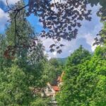 Private Day Trip to Peles Palace, Dracula's Castle and Brasov - Who Should Consider This Tour?