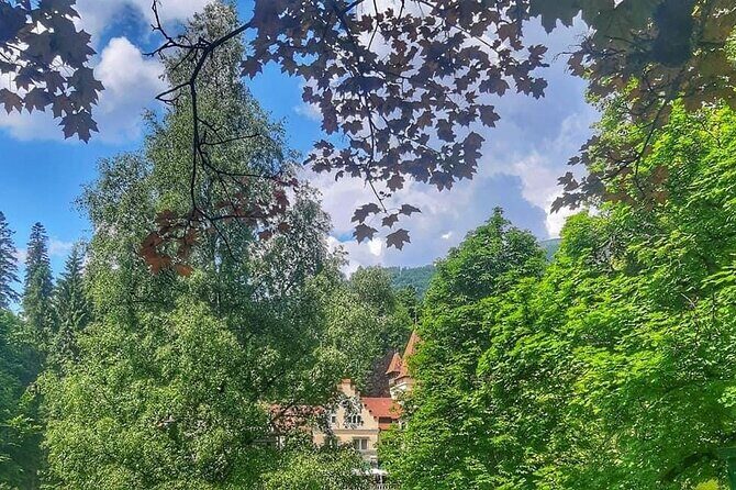 Private Day Trip to Peles Palace, Dracula's Castle and Brasov - Who Should Consider This Tour?