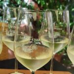 Private day trip to the Romantic Rhine Valley with river cruise and wine tasting - Who Will Love This Tour?