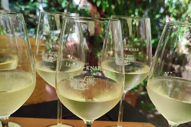 Private day trip to the Romantic Rhine Valley with river cruise and wine tasting - Who Will Love This Tour?