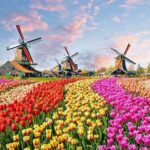 Private Day Trip to Zaanse Schans, Volendam & Marken from Amsterdam - What Makes This Tour Stand Out