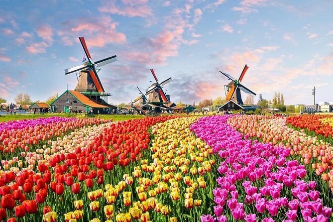 Private Day Trip to Zaanse Schans, Volendam & Marken from Amsterdam - What Makes This Tour Stand Out