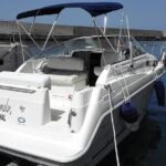 Private Dolphin and Whale Watching Tour in Madeira - What Travelers Are Saying
