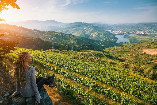 Private Douro Valley Wine Tour: 2 Wine Estates, Lunch and Cruise - The Real Value of This Tour