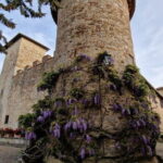 Private driver Florence Wine Tour countryside of Tuscany 7 hours - Who Is This Tour Best For?