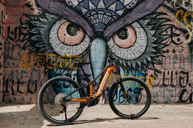 Private ebike tour Ibiza (northern highlights route) - Who Should Consider This Tour?
