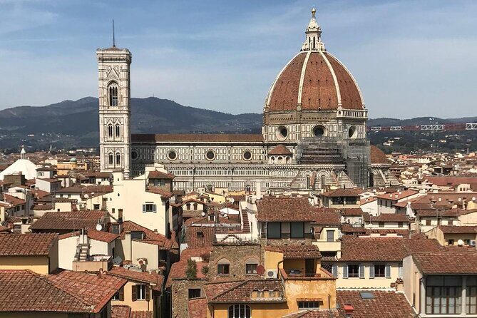 Private educational and guided custom tours by walk and by confortable M/B van - The Sum Up