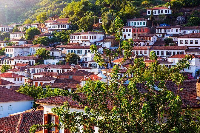 Private Ephesus and Sirince Village Tour from Kusadasi Port/Lunch - Who Would Love This Experience?