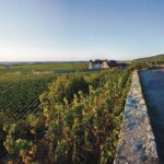 Private excursion to Côte de Beaune and Côte de Nuits (full day) - Final thoughts: Is this tour worth it?