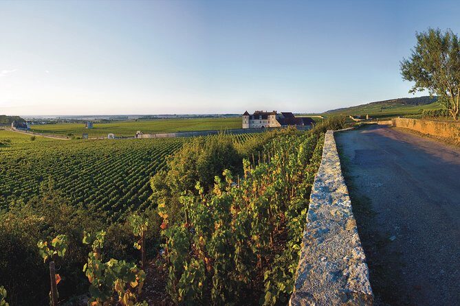 Private excursion to Côte de Beaune and Côte de Nuits (full day) - Final thoughts: Is this tour worth it?