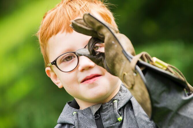 Private Family Bird of Prey Experience in Carlisle - Who Is This Tour Perfect For?