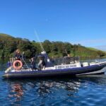 Private family sea safari - Why This Tour Stands Out