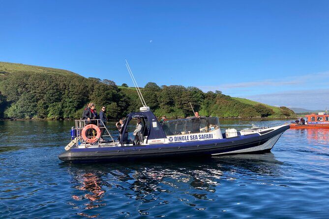 Private family sea safari - Why This Tour Stands Out