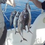 Private fishing tour - A Closer Look at the Dubrovnik Private Fishing Tour
