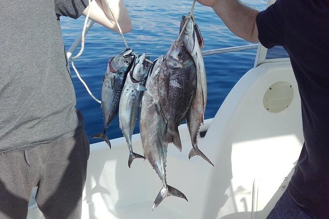 Private fishing tour - A Closer Look at the Dubrovnik Private Fishing Tour