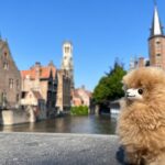 Private Full-Day Tour Bruges & Ghent from Brussels with tastings - Bruges: Medieval Majesty and Sweet Temptations