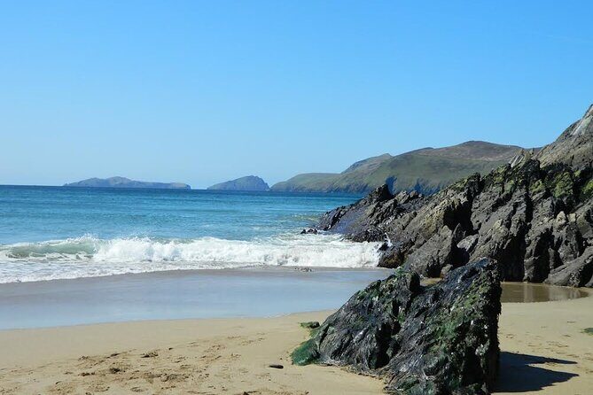 Private Full-Day Tour to Dingle and Slea Head - Who Is This Tour Best Suited For?