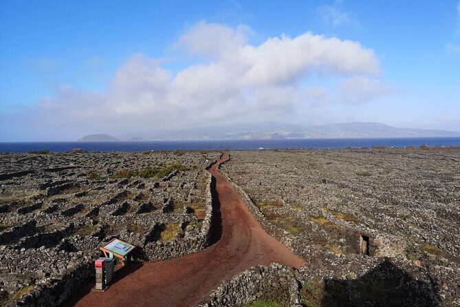 Private full day visit to Pico, a first impression - Why This Tour Delivers Value