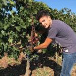 PRIVATE Full-Day Wine Experience in Chianti Classico. - A Perfect Day in Greve in Chianti