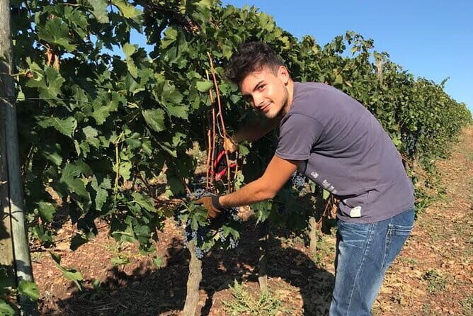 PRIVATE Full-Day Wine Experience in Chianti Classico. - A Perfect Day in Greve in Chianti