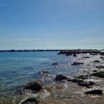 Private Gastronomic Tour in the City of Condal Barcelona - Why This Tour Works for You