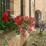 Private guided tour - Beaune 2h - The Sum Up: Who Will Love This Tour?