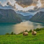 PRIVATE GUIDED TOUR: Norway's Highlights  Viking Special, 11-12 hours  SUMMER - Real Traveler Insights