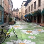 Private guided tour of Macon with your professional guide! - Practical Details That Matter