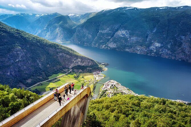 Private guided tour - Premium Nærøyfjord Cruise and Flåm Railway - The Experience: A Deep Dive into the Day