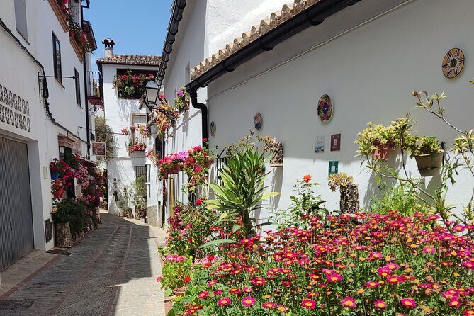Private half-day tour of Ronda and the White Villages with native - Who Would Love This Tour?