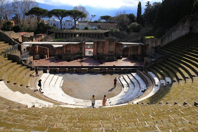Private Half-Day Tour of The Pompeii Ruins Highlights and Mann - Final Thoughts
