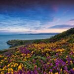 Private Howth Coastal Walk - Who Is This Tour Best Suited For?