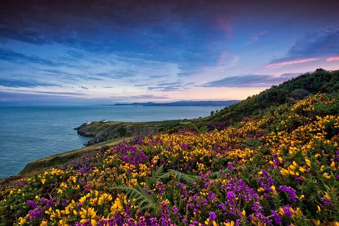 Private Howth Coastal Walk - Who Is This Tour Best Suited For?
