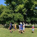 Private Introduction to plant color in Forcalquier in Provence - Why This Experience Offers Real Value