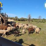 Private Jeep Safari Half-Day Tour - Frequently Asked Questions